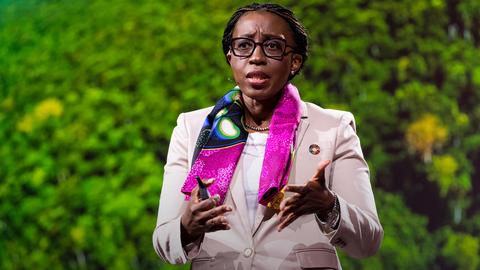 The African swamp protecting Earth’s environment | Vera Songwe