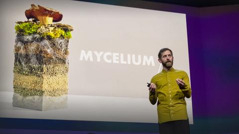 The future of fashion — made from mushrooms | Dan Widmaier