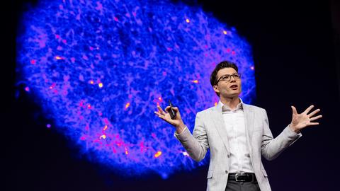 How we’re reverse engineering the human brain in the lab | Sergiu P. Pasca