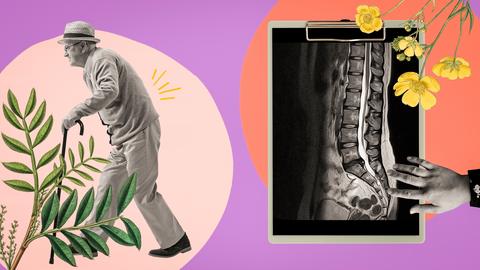 5 things you should know about back pain | Jen Gunter