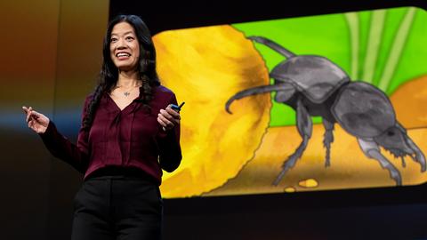 Are insect brains the secret to great AI? | Frances S. Chance