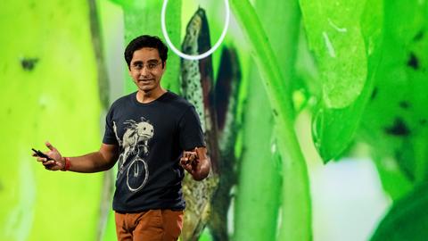 The fascinating physics of insect pee | Saad Bhamla