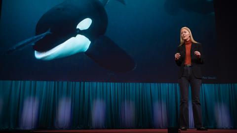 Could an orca give a TED Talk? | Karen Bakker