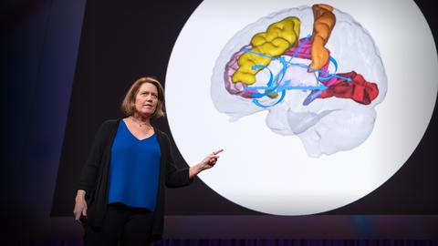 How to hack your brain when you’re in pain | Amy Baxter