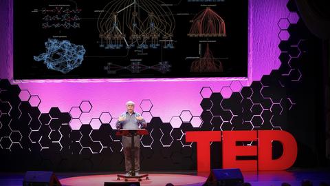 How to think computationally about AI, the universe and everything | Stephen Wolfram