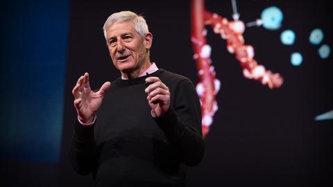 How stem cells orchestrate healing — and how to speed it up | Kevin Stone
