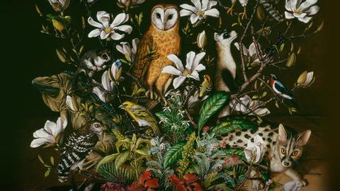 The beauty of wildlife — and an artistic call to protect it | Isabella Kirkland