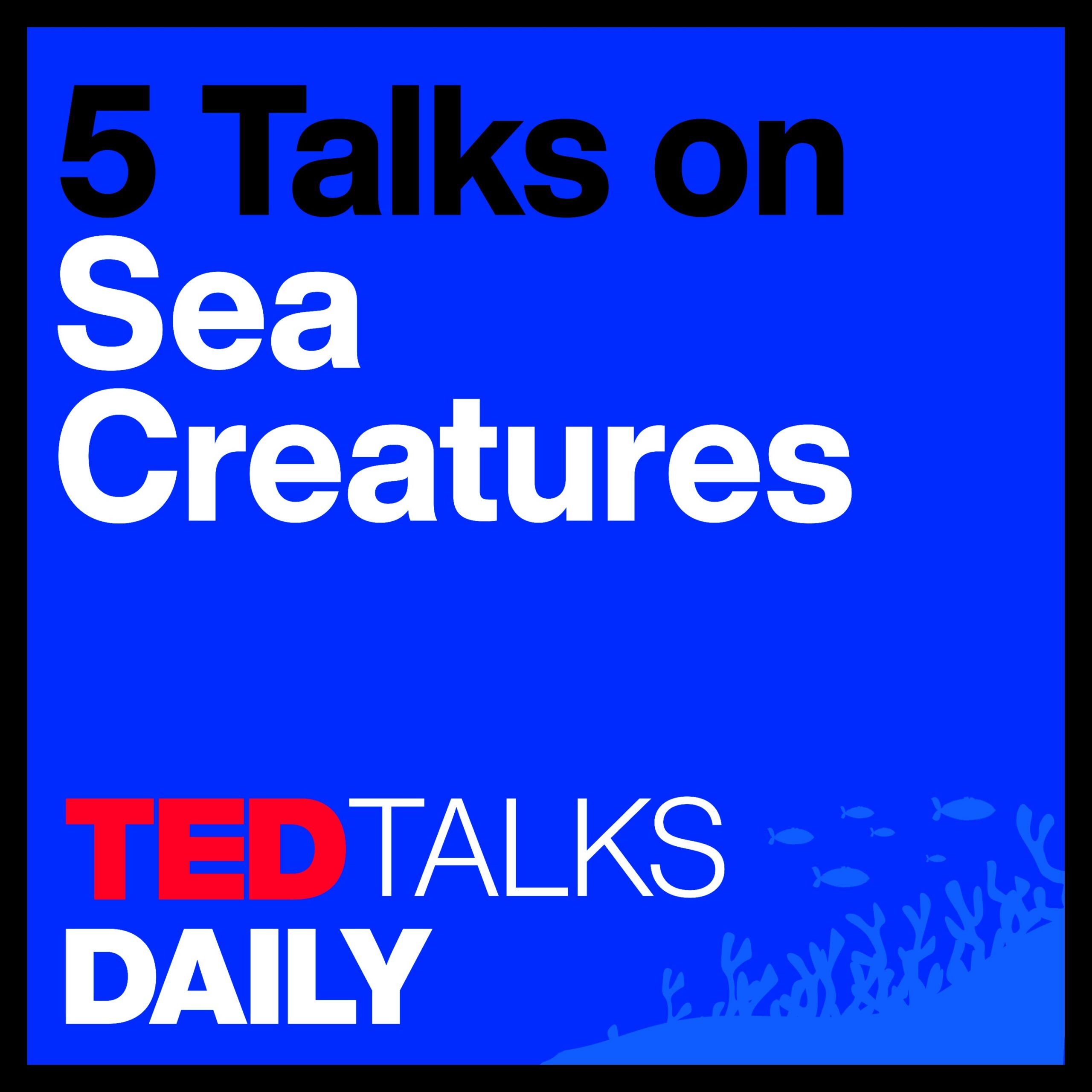 The Mystery of Sea Creatures (3/5): Could an orca give a TED Talk? | Karen Bakker